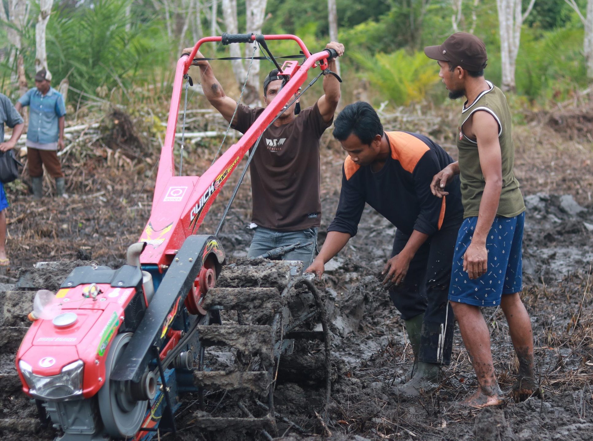 ASRI provides sustainable agriculture training and assistance to former loggers who are now farmers
