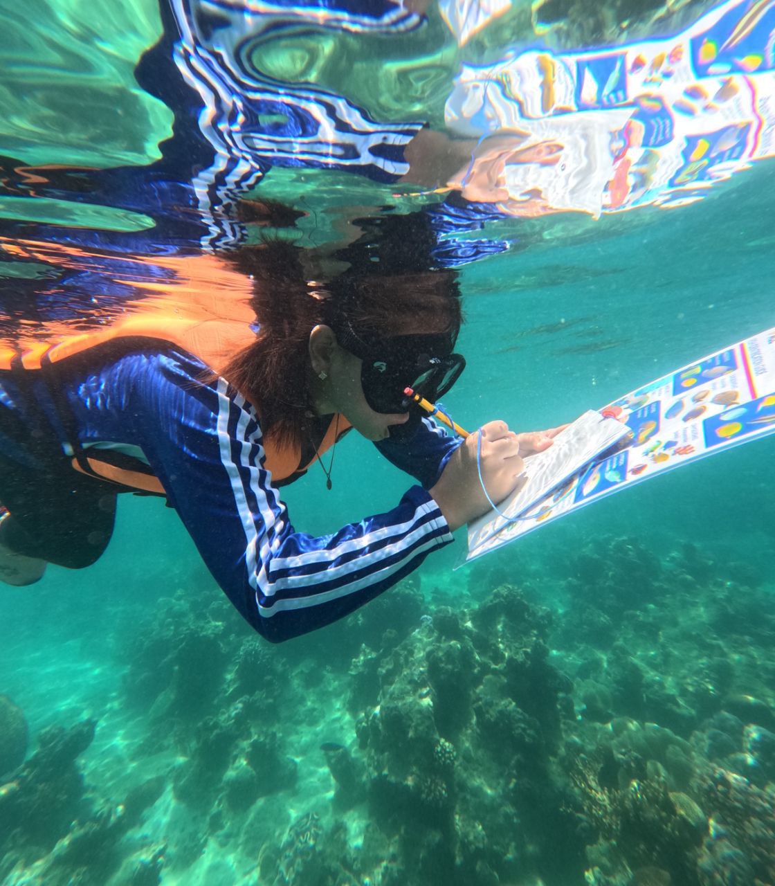 People of Bulata learn about coral and fish identification. Citizen Science is a great way for people to deeply connect with the wildlife in their own backyard.