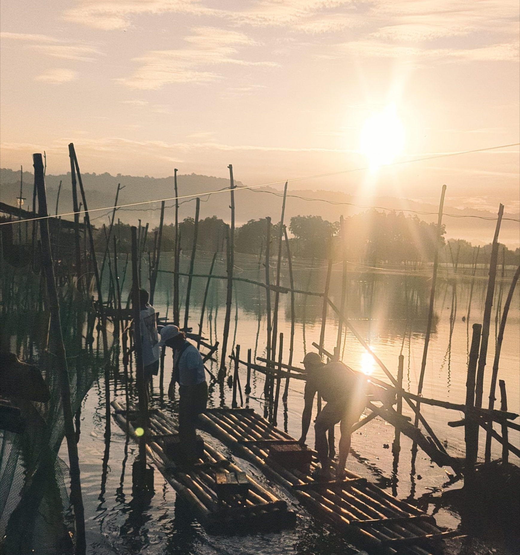 Abandoned fishponds are now being rehabilitated for mangrove forest regeneration by Oceanus Conservation and their partners. At dawn, CfN's CEO and Chair Rhoda Phillips boards a raft to visit the mangrove area and witness the progress of the community.